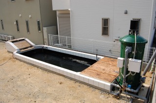 錦鯉の飼える洋風池 コンクリート水槽 新設工事 京阪錦鯉センター