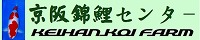ニシキゴイ引越し　錦鯉の販売・通販、飼育・病気の事なら信頼と実績の京阪錦鯉センターにお任せください。