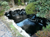 庭池　防水工事,庭池　FRP防水
