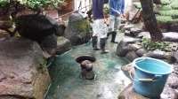 錦鯉池　作り,池　リフォーム,池　改修,庭池 高圧水洗い