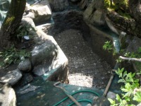 錦鯉池　作り,池　リフォーム,池　改修,庭池 業者