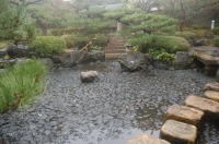 錦鯉　造園,庭池　錦鯉,造園 池,錦鯉池 高圧水洗い