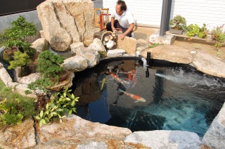 錦鯉池　作り,池　リフォーム,池　改修,庭池 業者
